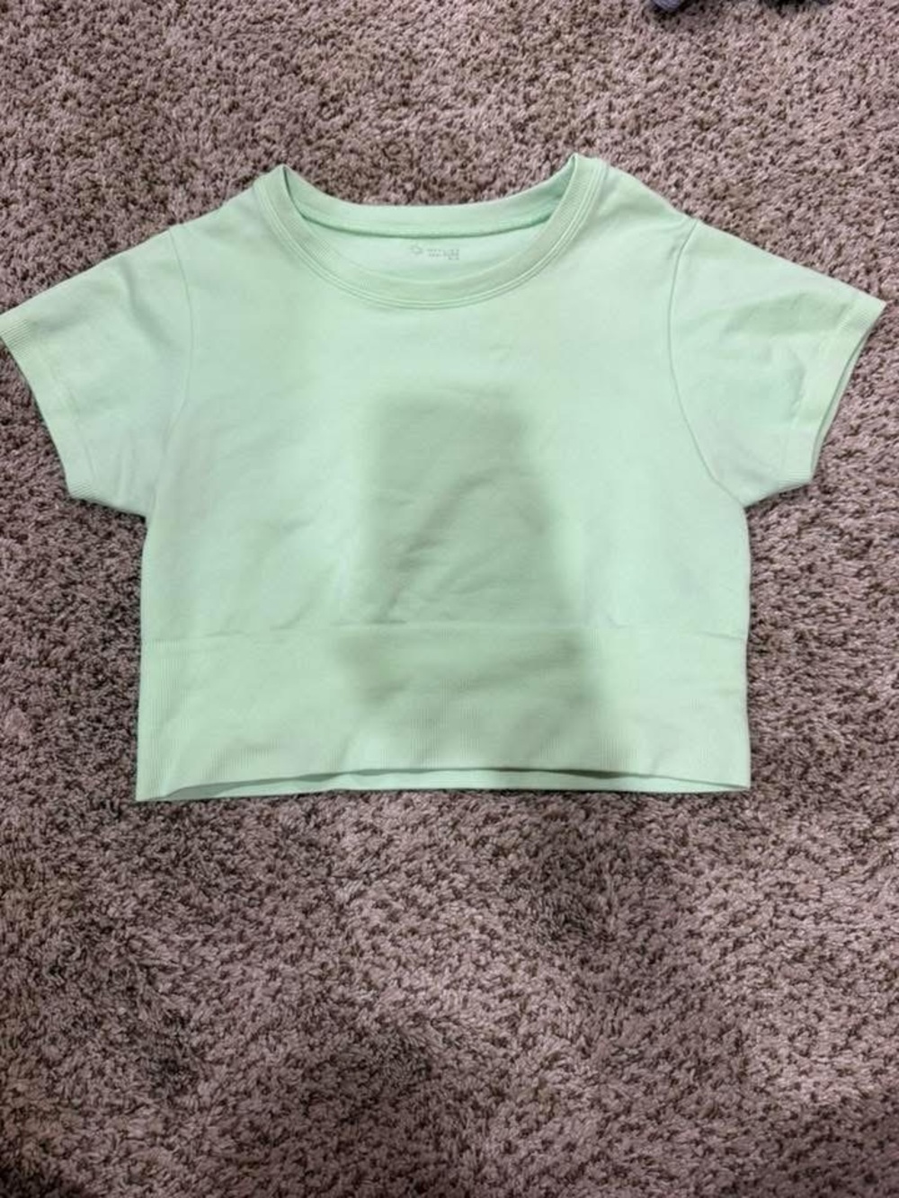 aerie Mint Short Sleeve Cropped Tank